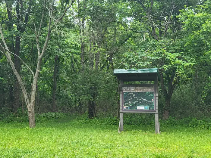 COON CREEK (IL) photo 5