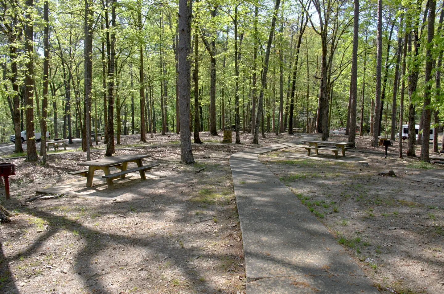 COOPER BRANCH No 2 DAY USE AREA (GA) photo 3