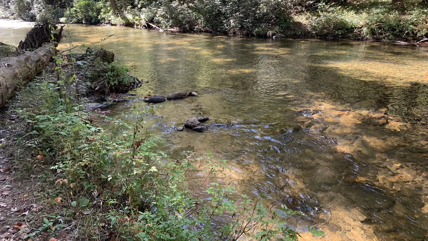 Cooper Creek Campground (GA) photo