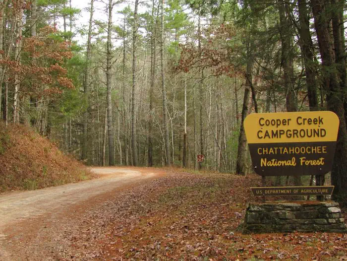 Cooper Creek Campground (GA) photo 2