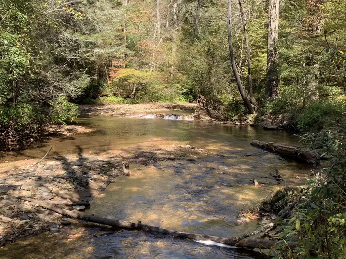 Cooper Creek Campground (GA) photo 3
