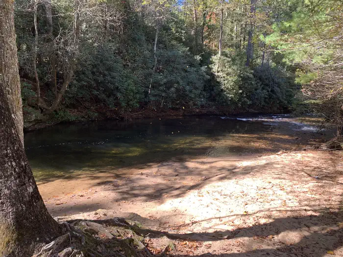 Cooper Creek Campground (GA) photo 4