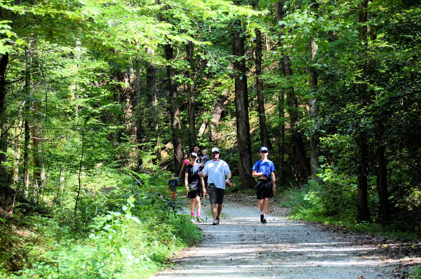 COOPER'S FURNACE DAY USE AREA (GA) photo 2