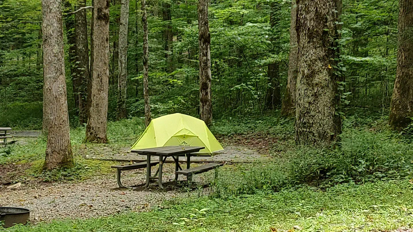 COSBY CAMPGROUND photo