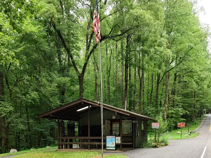 COSBY CAMPGROUND photo 2
