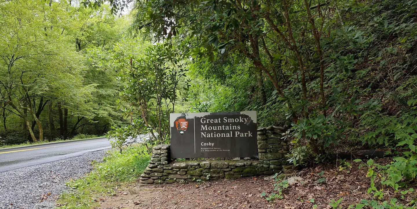 COSBY CAMPGROUND photo 3