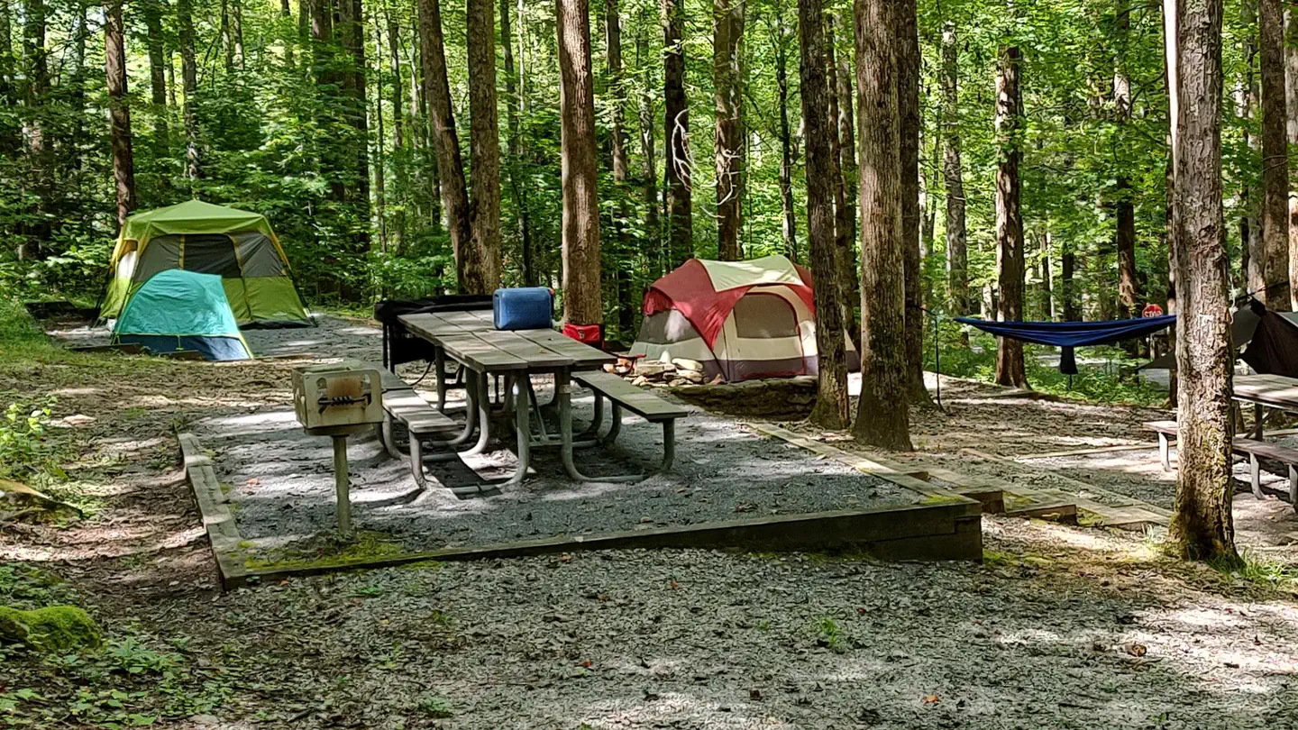 COSBY GROUP CAMP photo