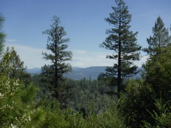 Cottage Creek Campground (CA) photo 5