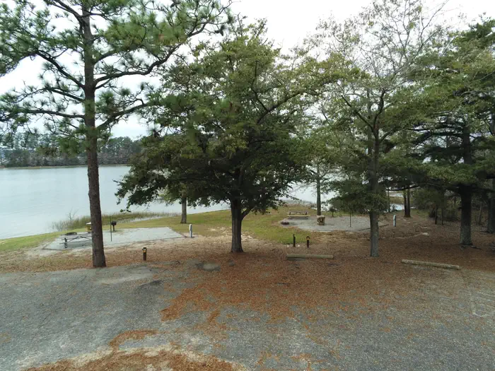 COTTON HILL photo 2