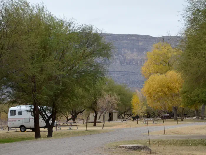 Cottonwood (Big Bend, TX) photo 2