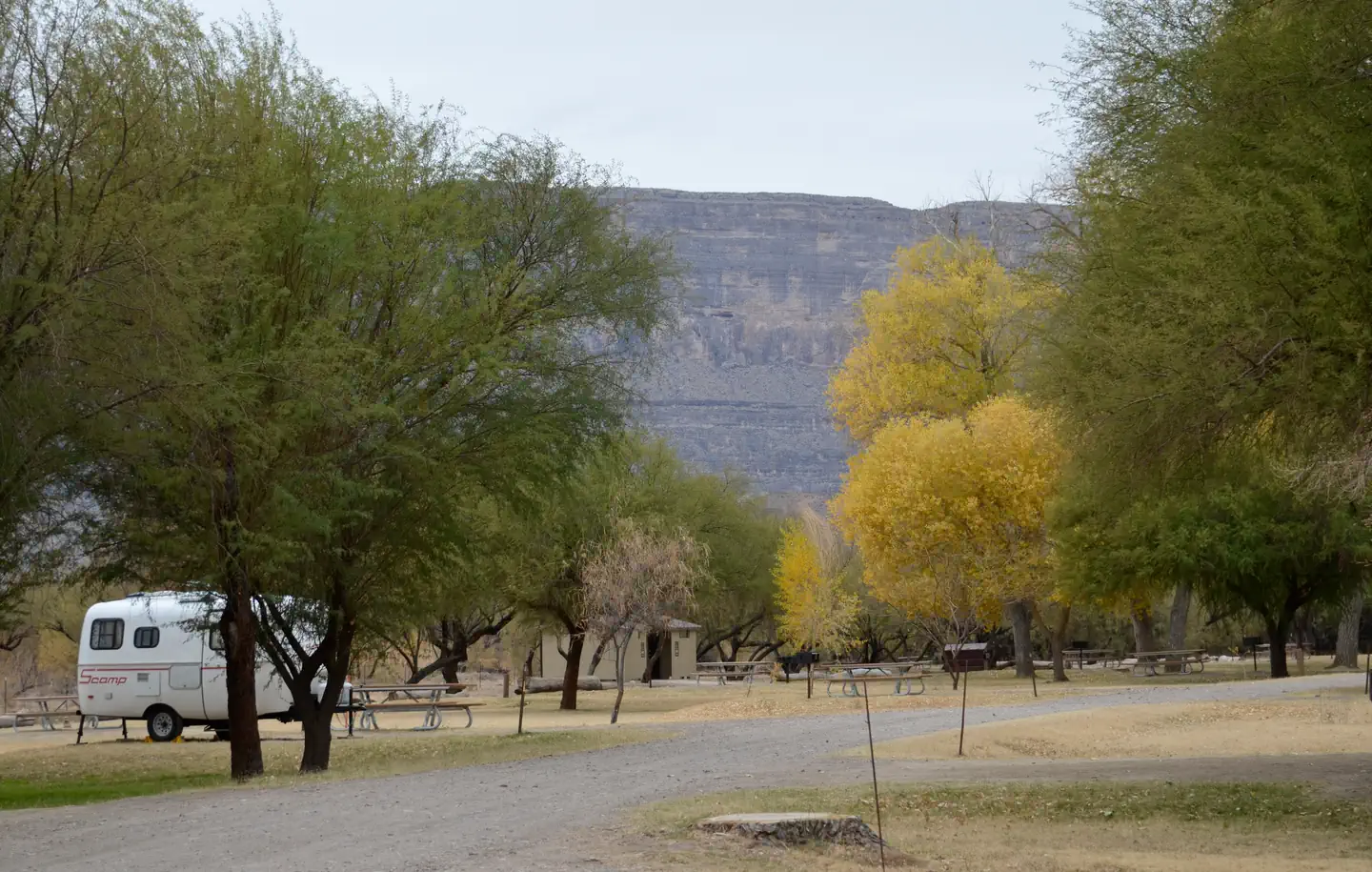Cottonwood (Big Bend, TX) photo 4