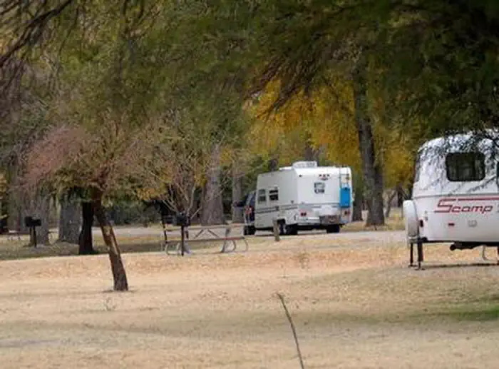 Cottonwood (Big Bend, TX) photo 5