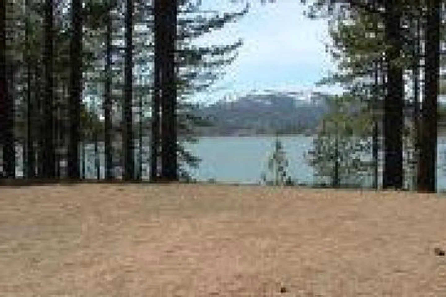 COTTONWOOD (CA) photo