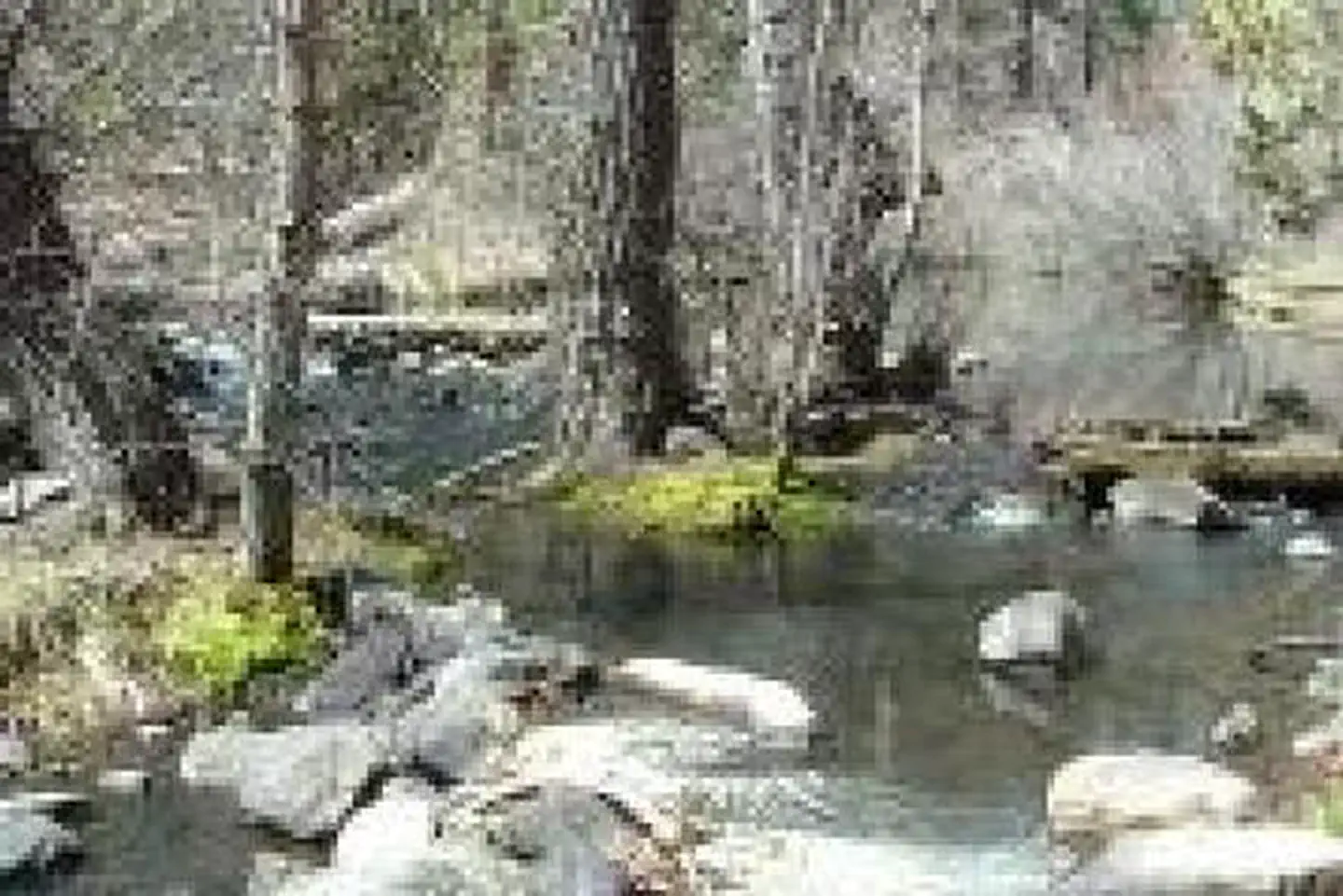COTTONWOOD (CA) photo 2