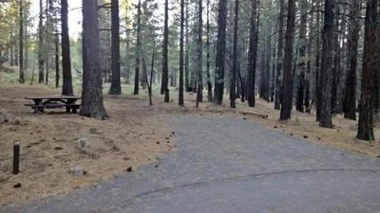 COTTONWOOD (CA) photo 3