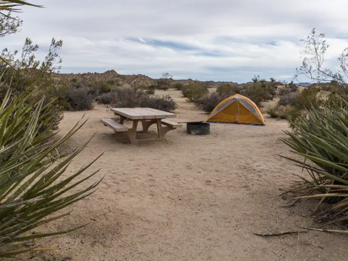 COTTONWOOD CAMPGROUND (CA) photo 2