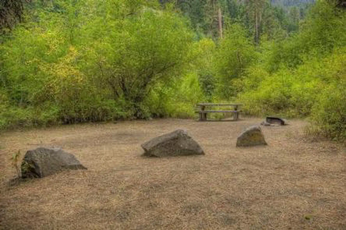 Cottonwood Campground - Naches River (WA) photo 3