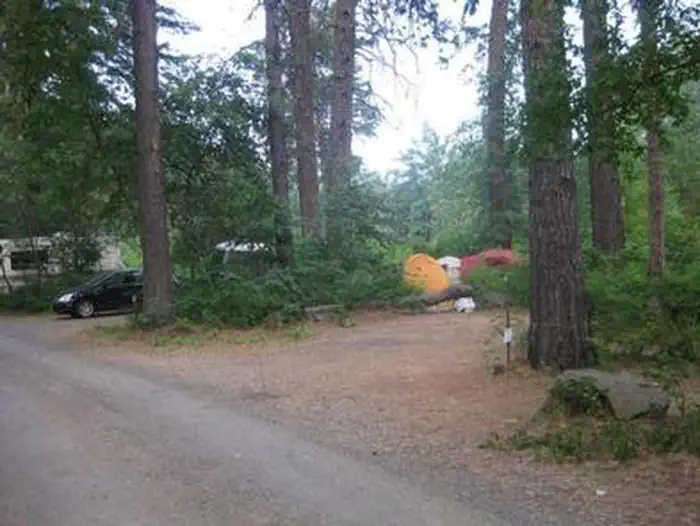 Cottonwood Campground - Naches River (WA) photo 4