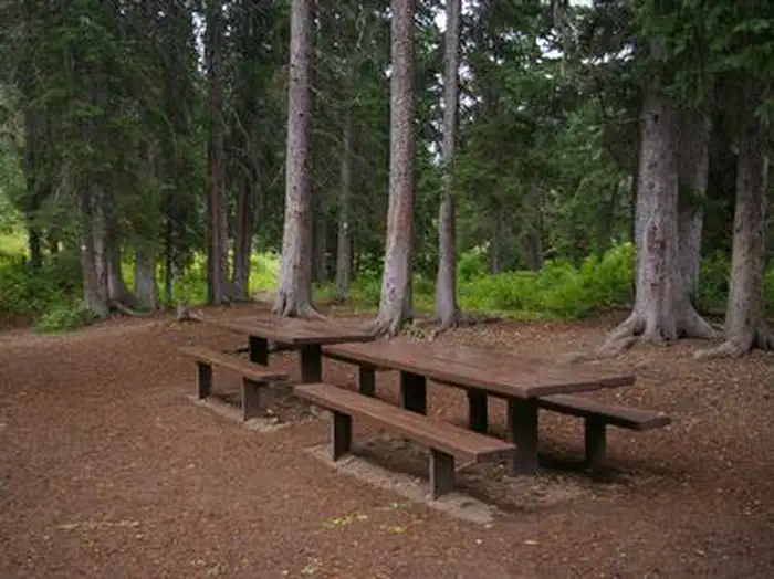 COTTONWOOD GROUP CAMPSITE photo