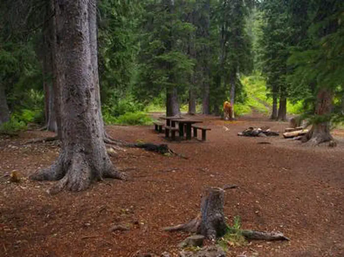 COTTONWOOD GROUP CAMPSITE photo 2