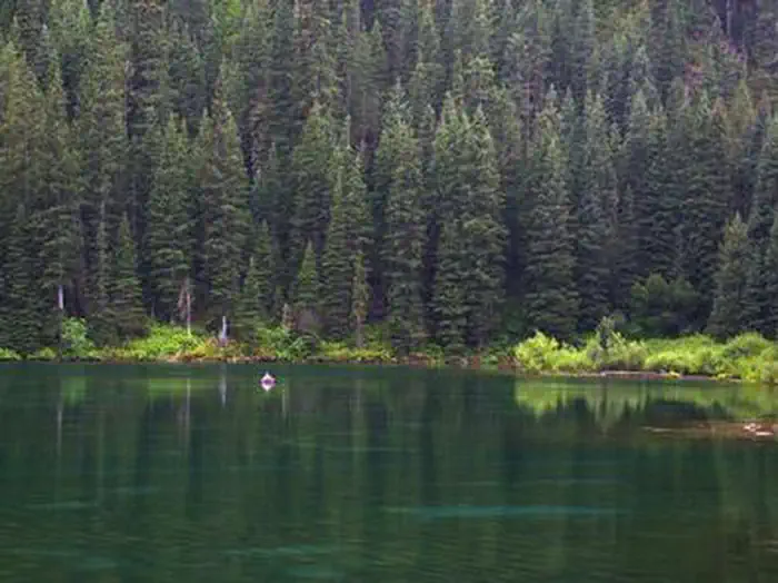 COTTONWOOD GROUP CAMPSITE photo 5
