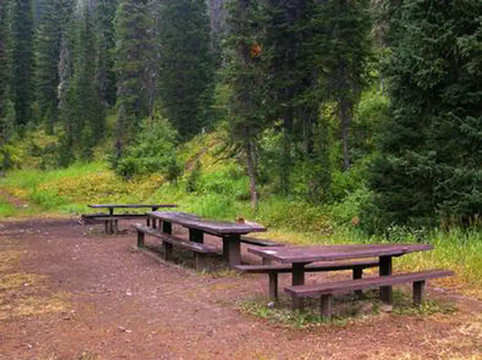 COTTONWOOD GROUP PICNIC SITE photo 4