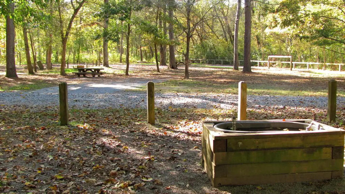 Cottonwood Patch Campground photo
