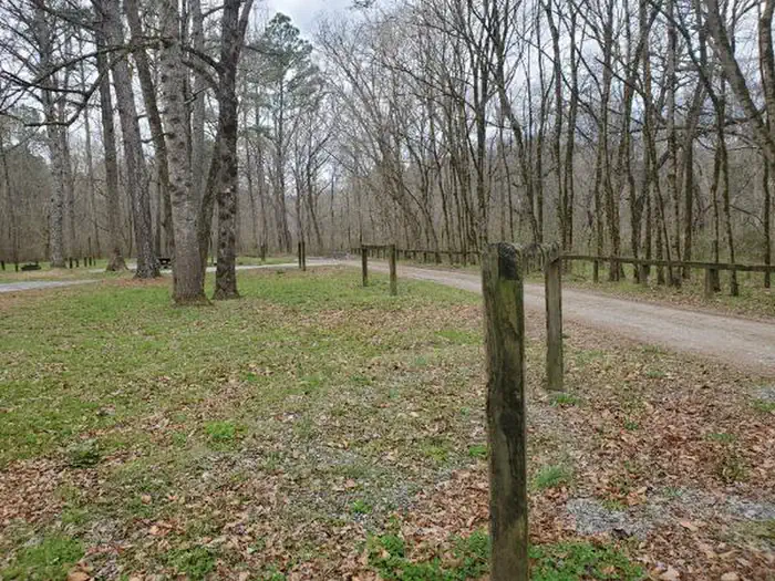 Cottonwood Patch Campground photo 4