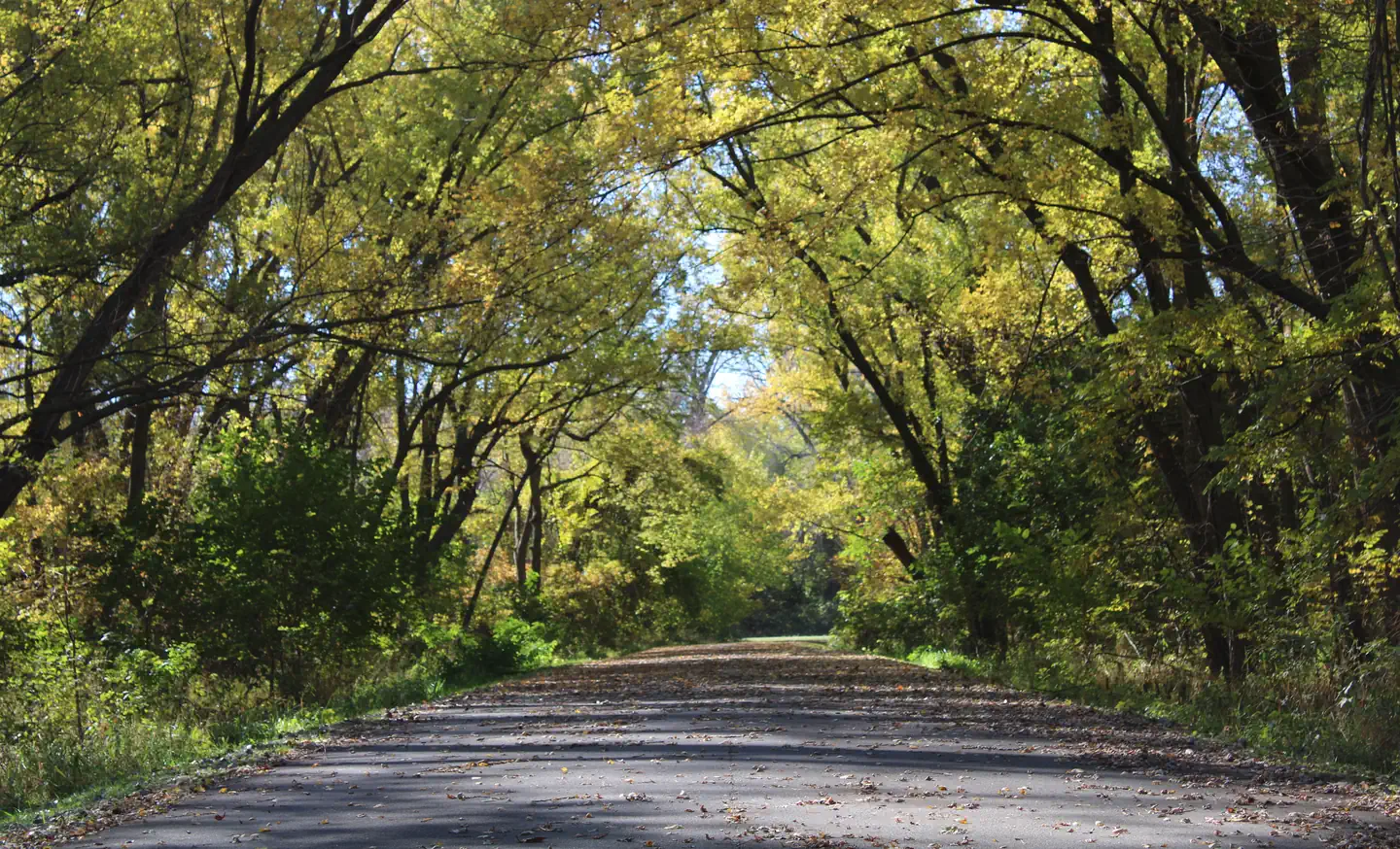 COTTONWOOD RECREATION AREA photo