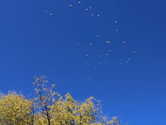 COTTONWOOD RECREATION AREA photo 4