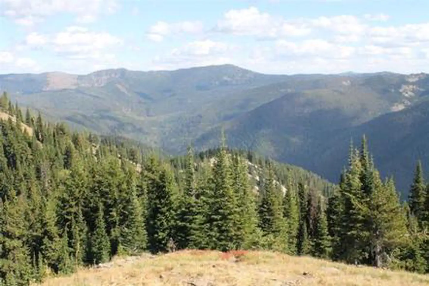 COUGAR PEAK LOOKOUT photo 4