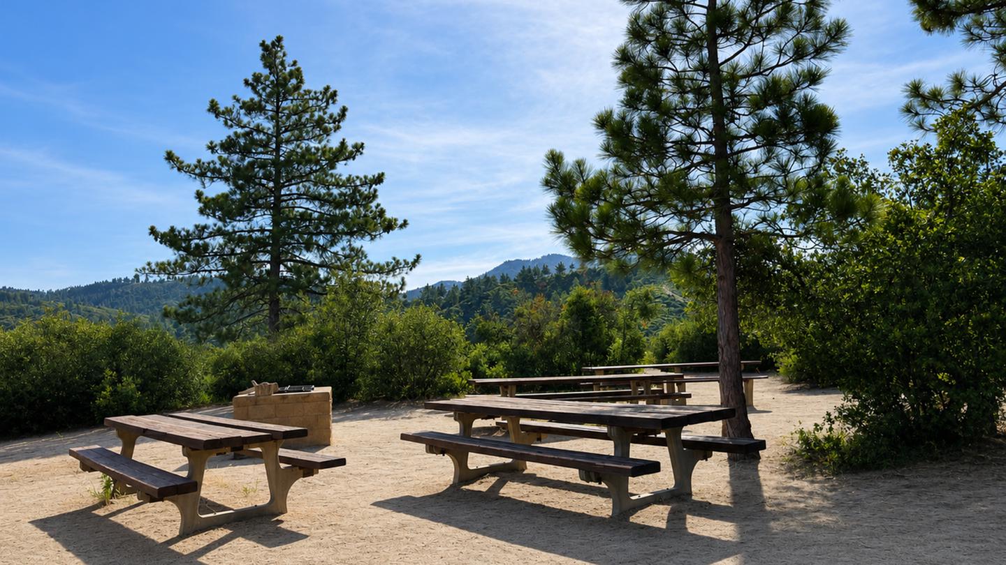 COULTER GROUP CAMPGROUND photo
