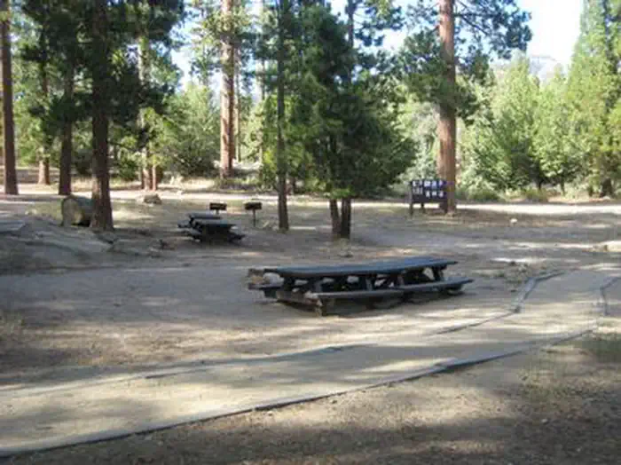 COUNCIL photo 2
