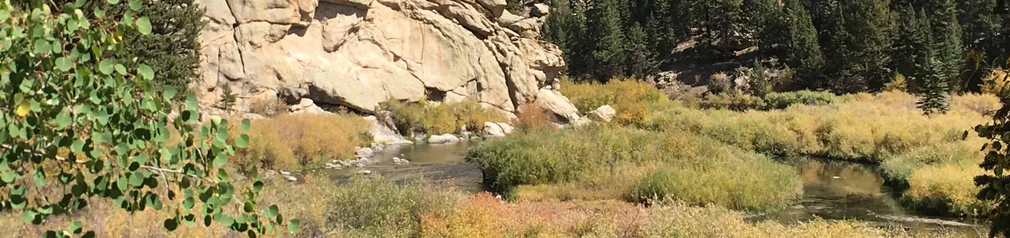 COVE CAMPGROUND photo