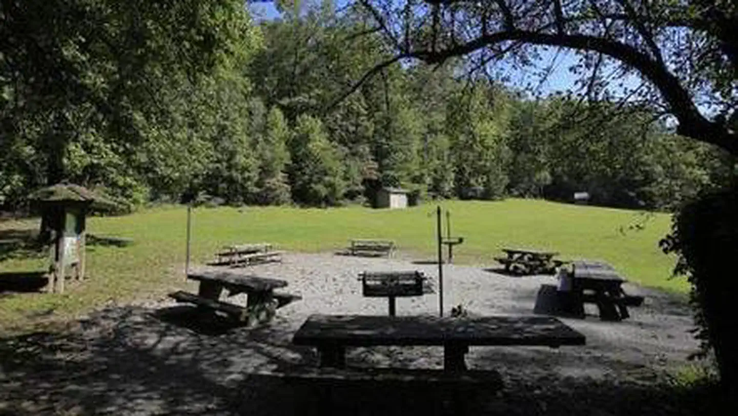 COVE CREEK LOWER GROUP CAMP photo