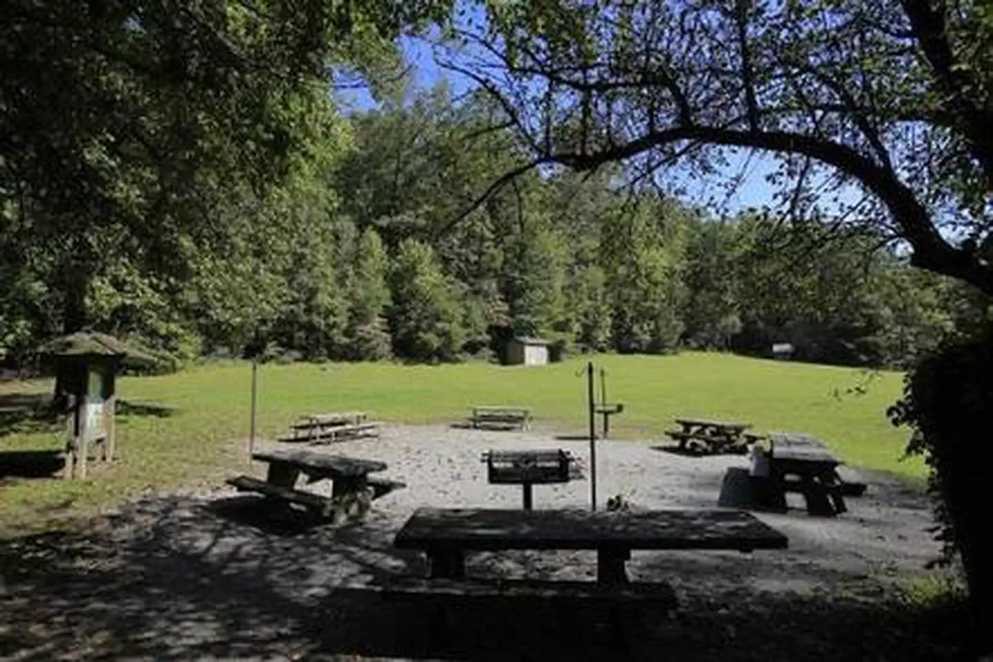 COVE CREEK LOWER GROUP CAMP photo 2