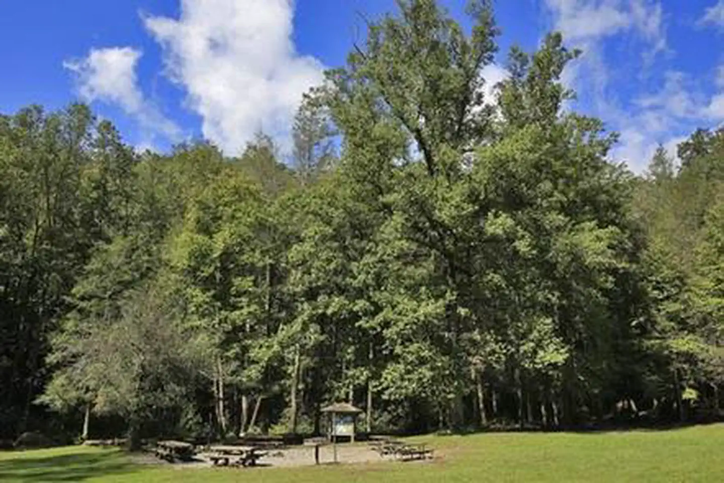 COVE CREEK LOWER GROUP CAMP photo 4