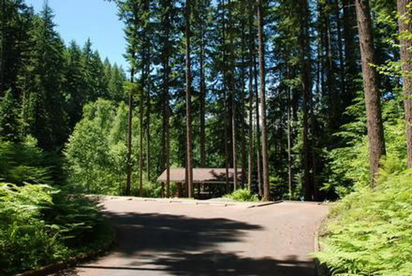 Cove Creek (OR) photo 4