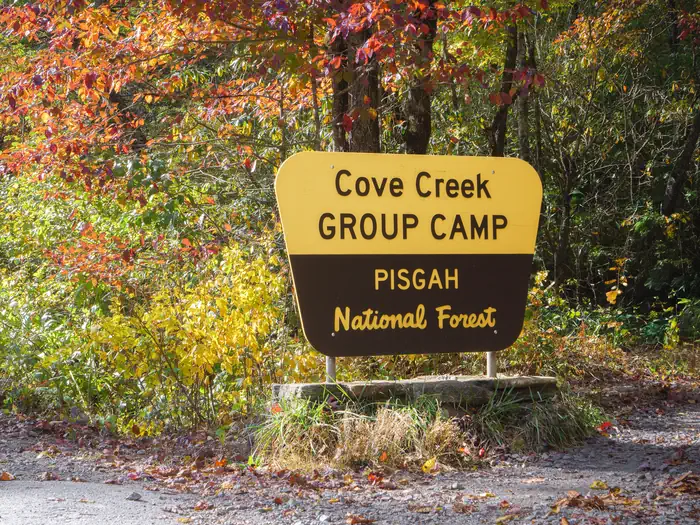 COVE CREEK UPPER GROUP CAMP photo 2