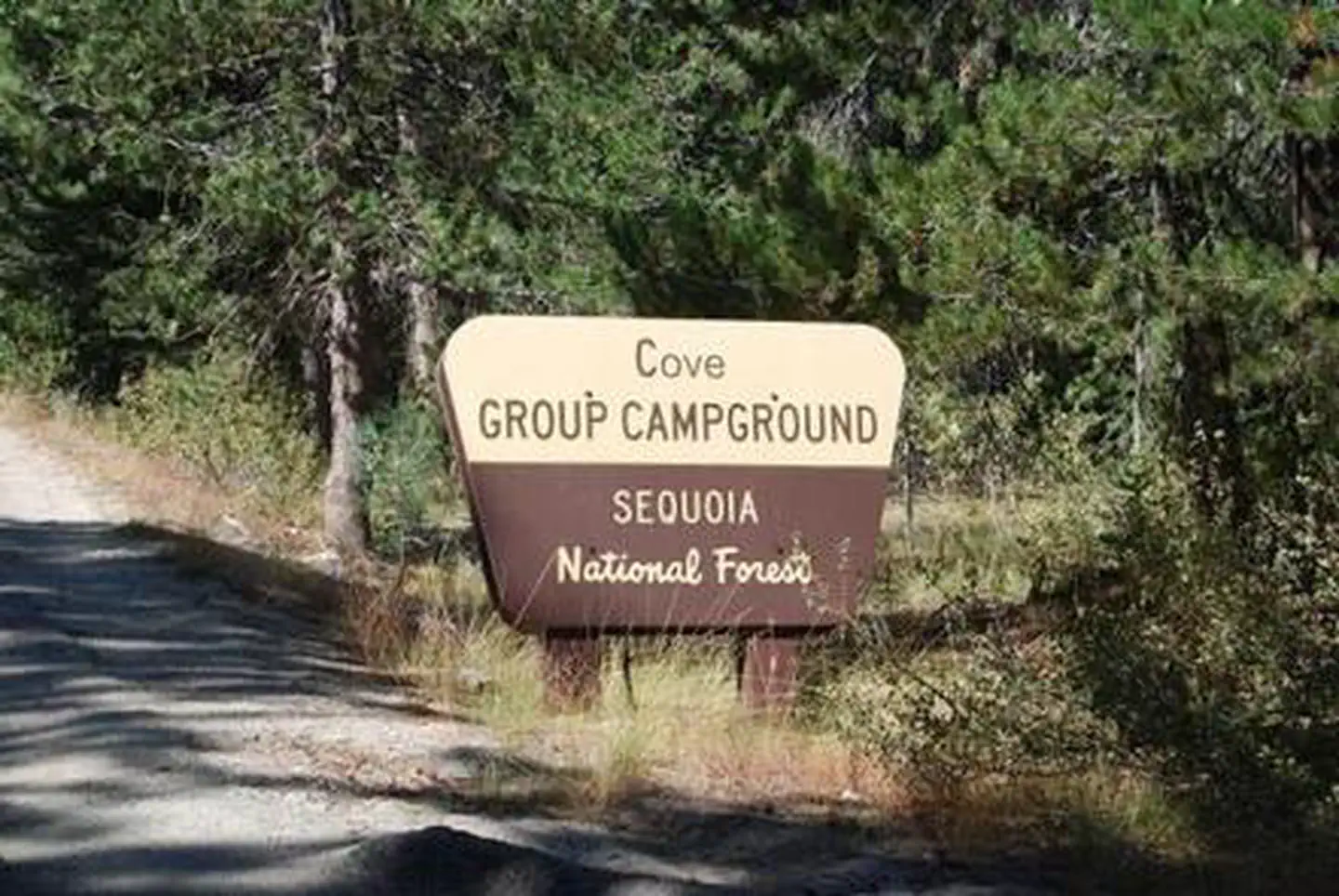 COVE GROUP photo