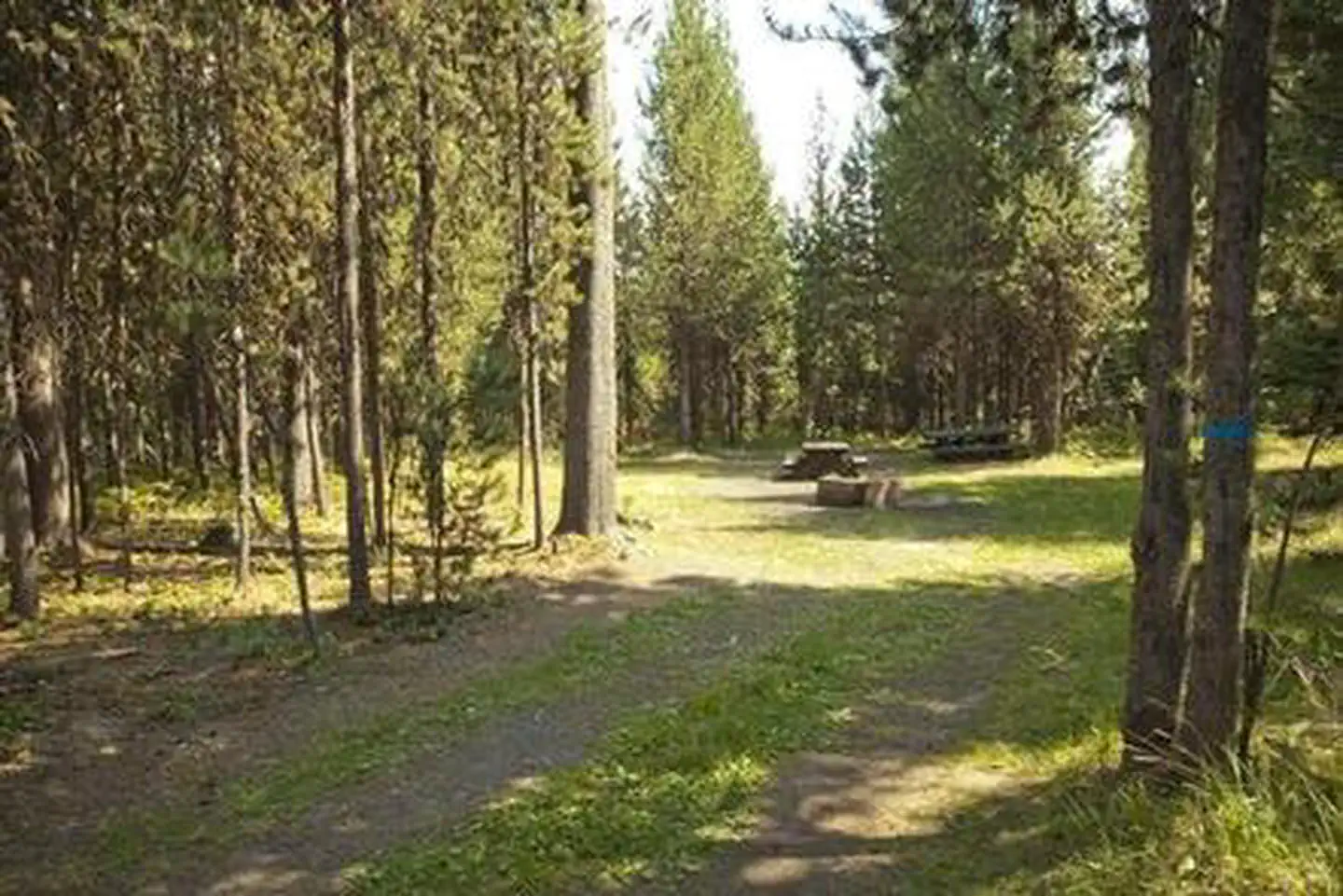COW MEADOW CAMPGROUND photo