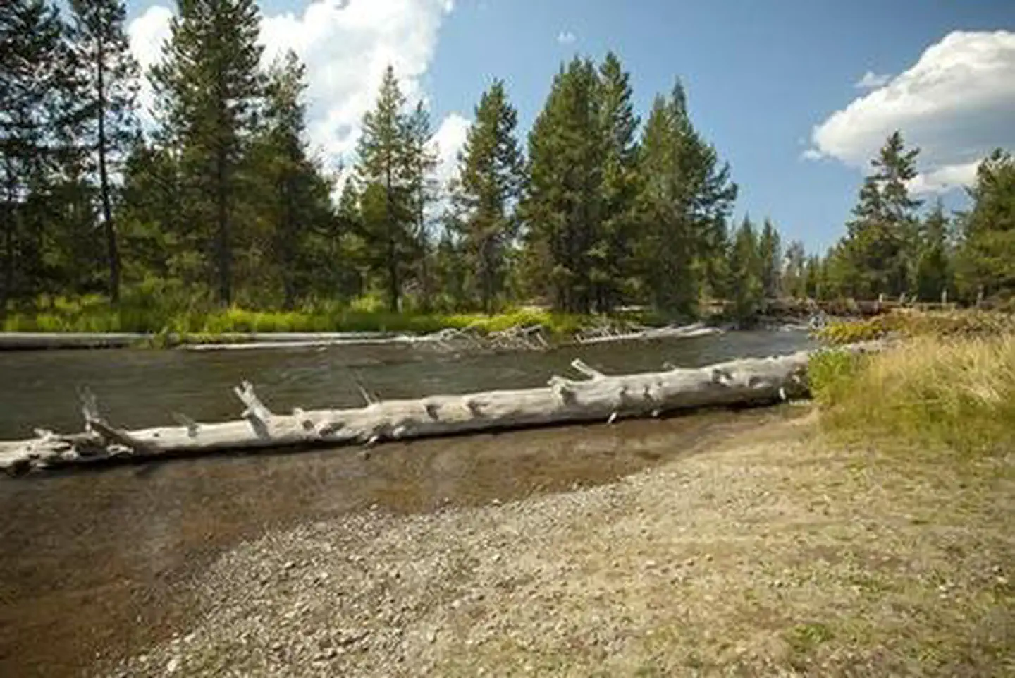 COW MEADOW CAMPGROUND photo 2