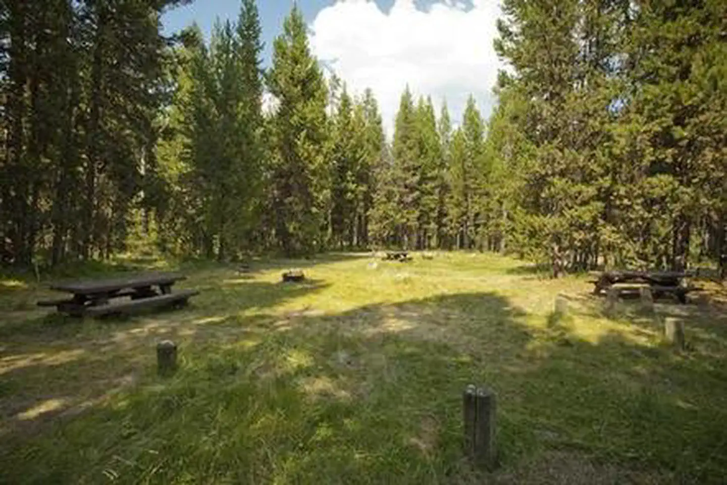 COW MEADOW CAMPGROUND photo 3