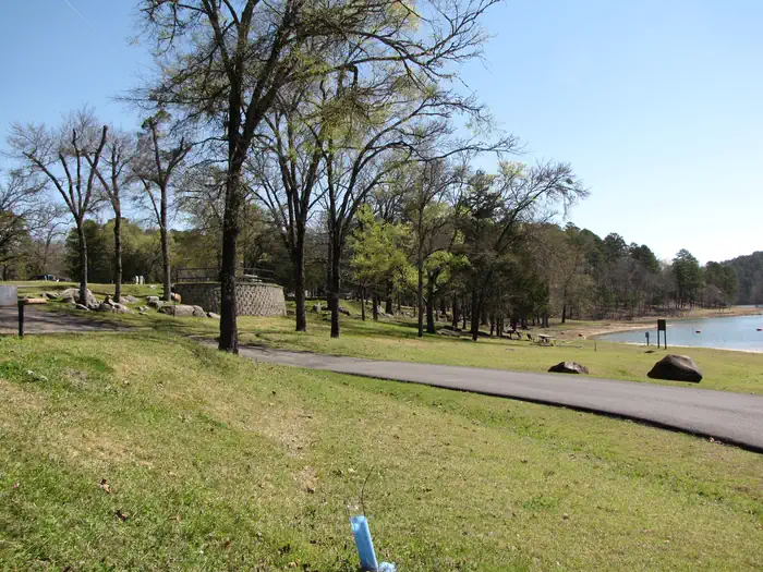 COWHIDE COVE photo 5