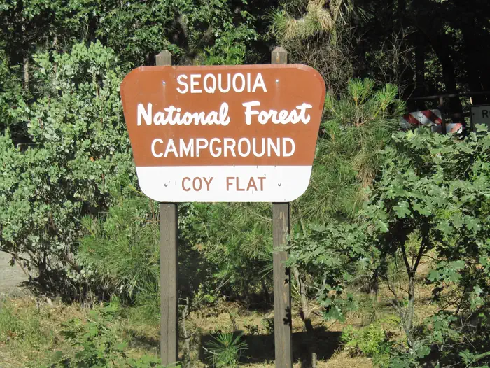 COY FLAT photo 5