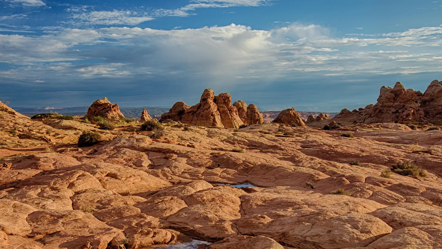 Coyote Buttes North Daily Lottery (The Wave) photo