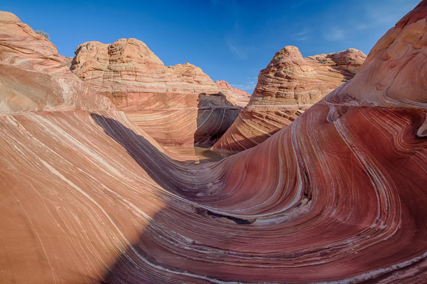 Coyote Buttes North Daily Lottery (The Wave) photo 5