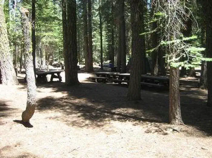 COYOTE GROUP photo 2
