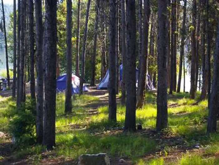 COZY COVE photo