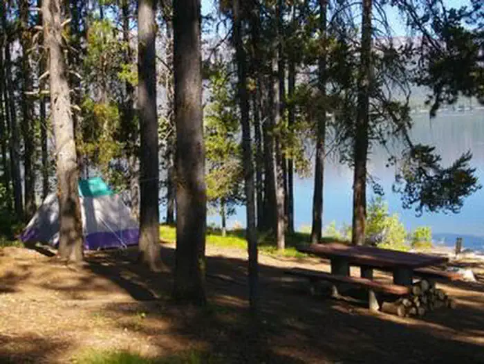 COZY COVE photo 3